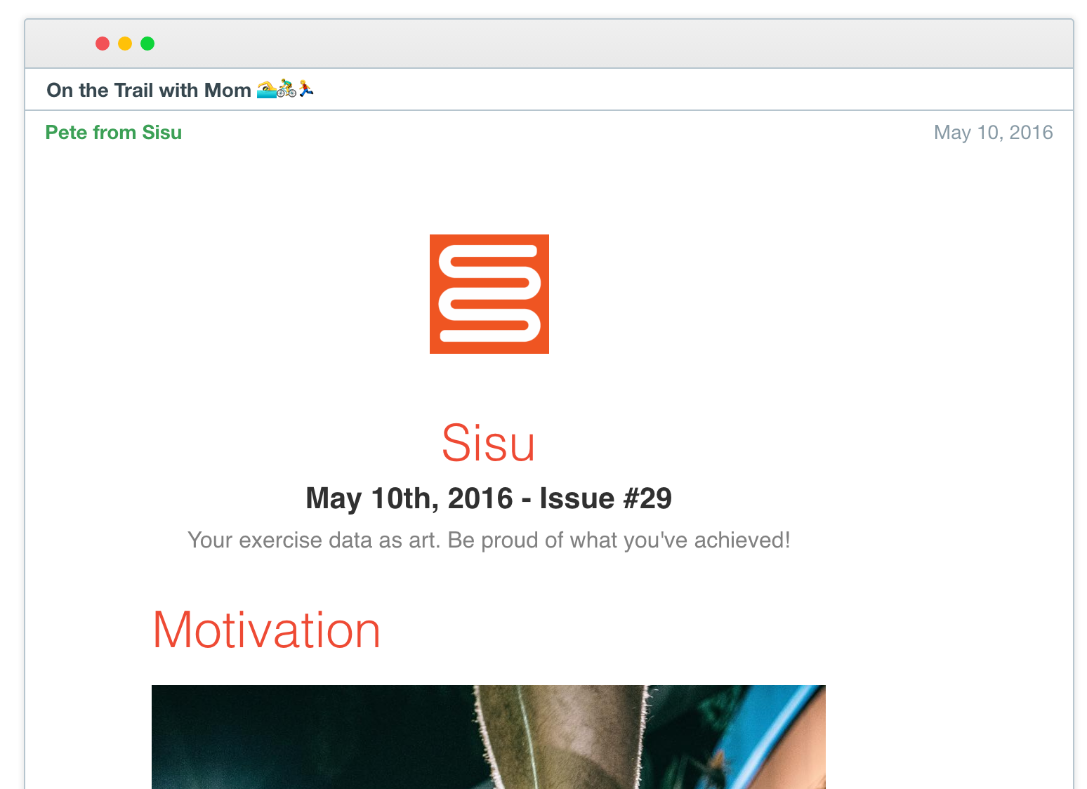 Sisu's Email Newsletter Header
